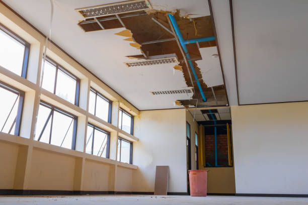 Best Water damage cleanup near me  in Alpine, TX