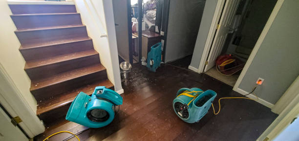 Best Flood restoration services  in Alpine, TX