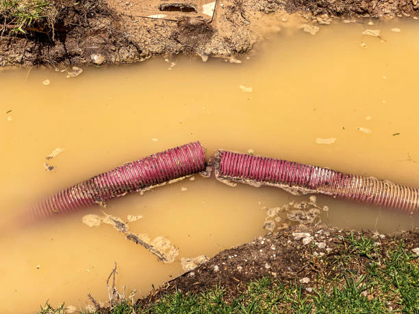 Best Commercial water damage restoration  in Alpine, TX