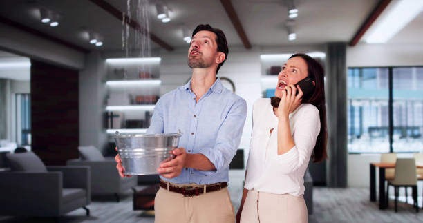 Reliable Alpine, TX Water damage restoration Solutions